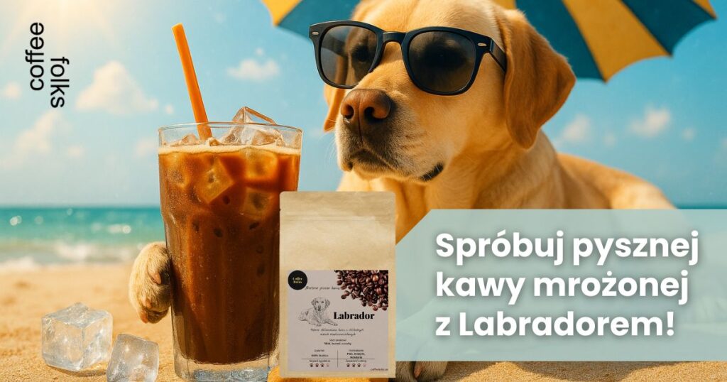 kawa ziarnista do kawy mrożonej Labrador