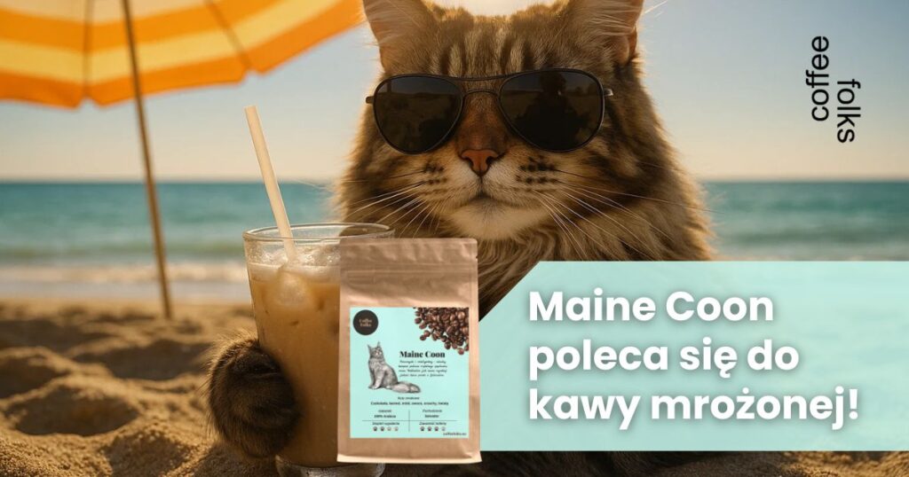 ziarna kawy do kawy mrożonej Maine Coon