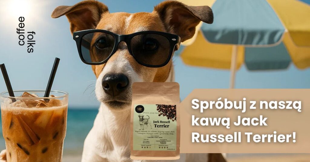 kawa ziarnista do kawy mrożonej Jack Russell Terrier
